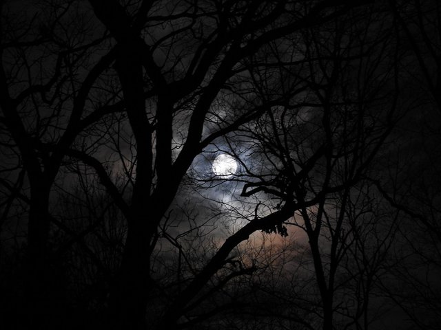 January 10th Full Wolf Moon