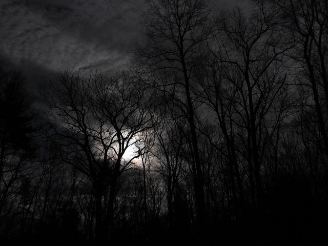 January 10th Full Wolf Moon