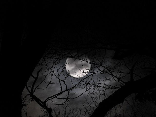 January 10th Full Wolf Moon