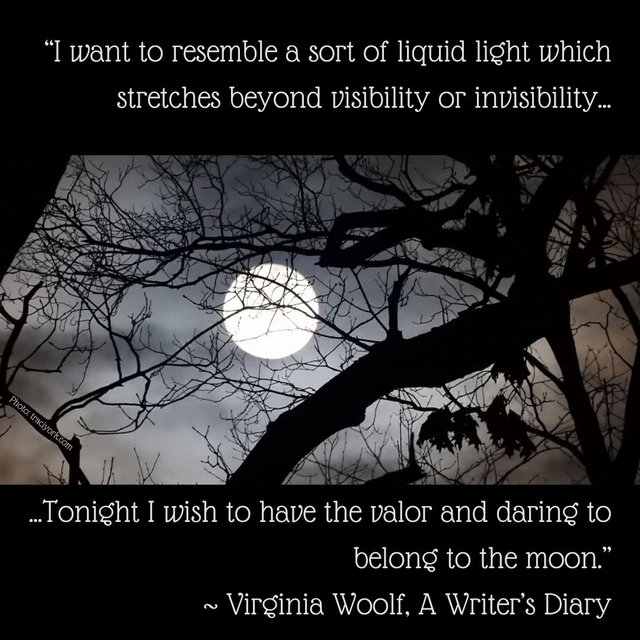 Virginia Woolf liquid light moon quote