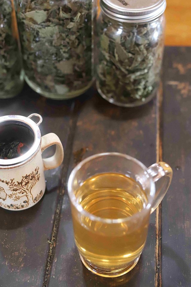Sweet Basil Tea: A Recipe to Boost Immunity