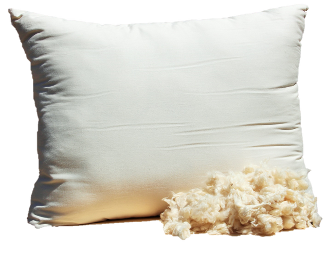 How To Choose The Best Organic Pillow For Your Neck Steemit