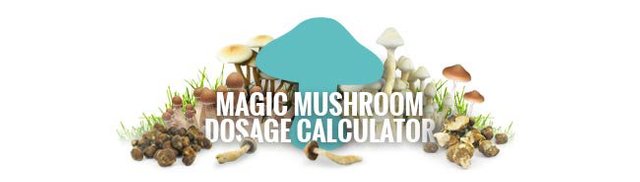 Use Our Magic Mushrooms Dosage Calculator