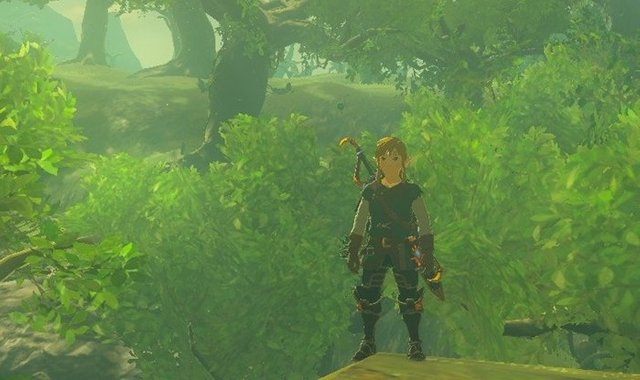Zelda Breath of the Wild 