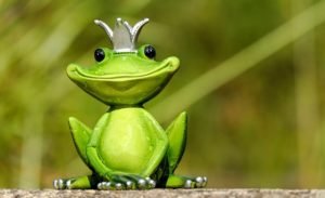 A more pleasant princess froggy