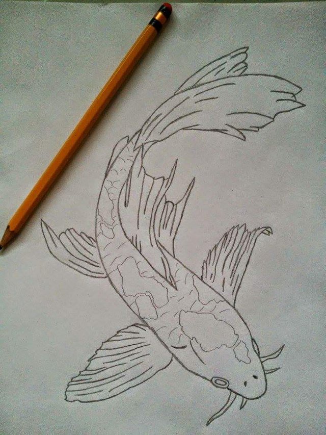 Creative Drawing Koi Fish Page 2 Steemit