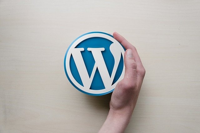 WordPress很容易安装并可以使用它的许多流行插件