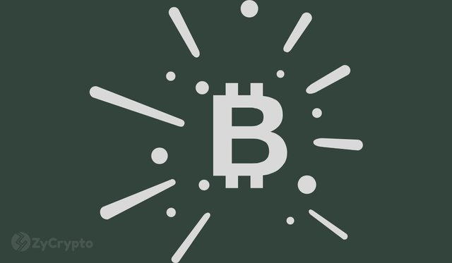 STEEM POSTS