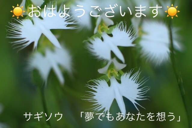 Nutritious Vegetable Soup Dclick