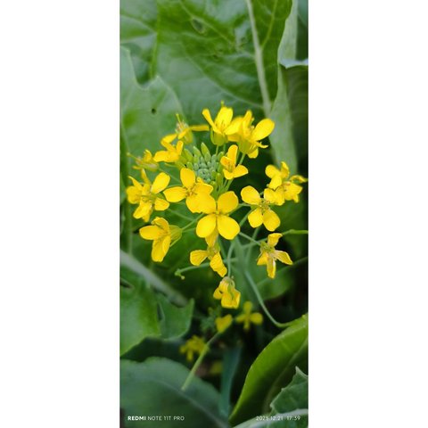 给情绪充电，可以从这...