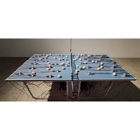 这两天在家一直忙着规...