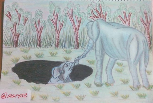 Dibujo final.jpg