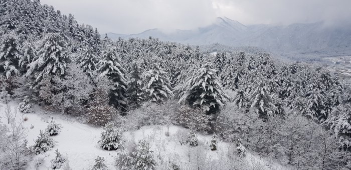 20181124_111041.jpg
