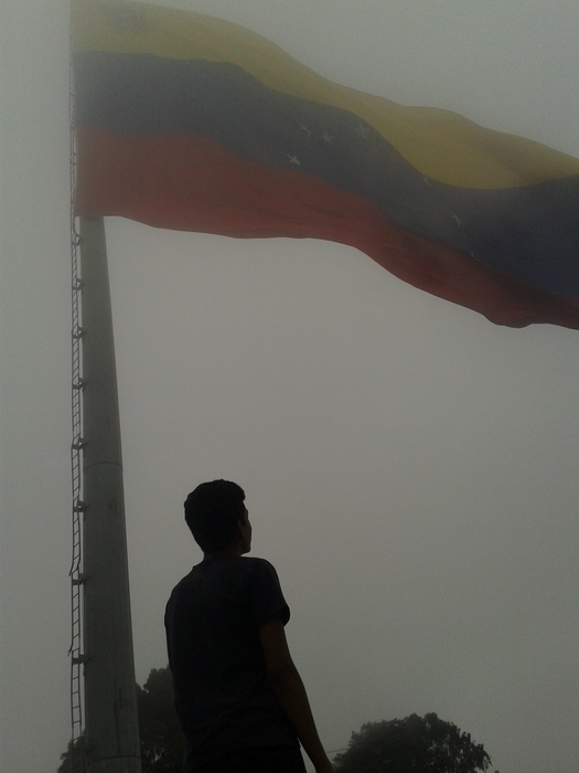 La bandera de Venezuela en Silent Hill