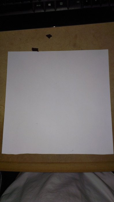 IMAG0333.jpg