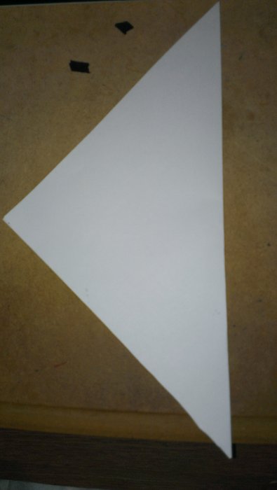 IMAG0335.jpg
