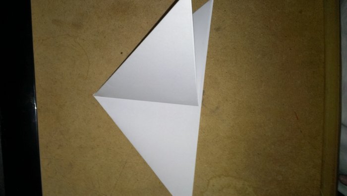 IMAG0337.jpg