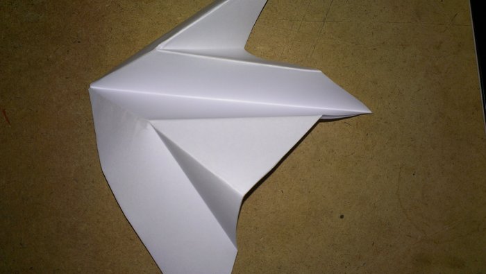 IMAG0343.jpg