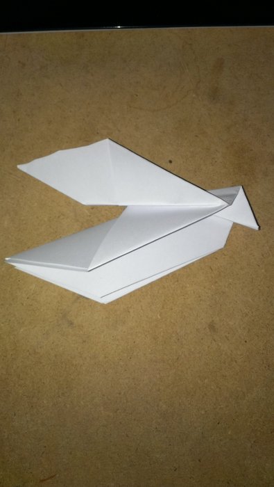 IMAG0349.jpg