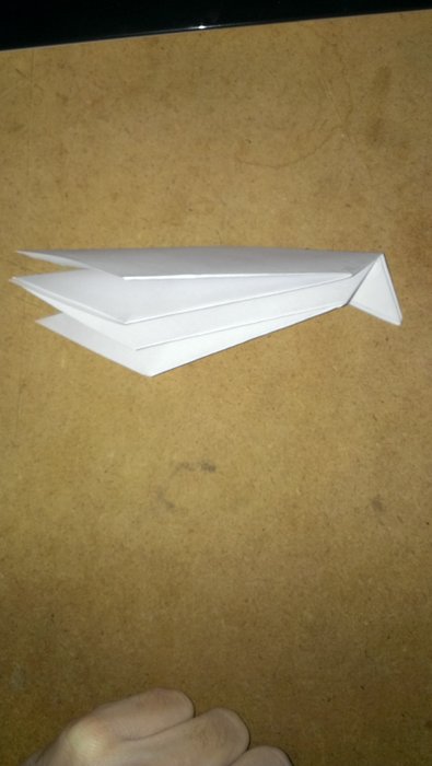 IMAG0347.jpg