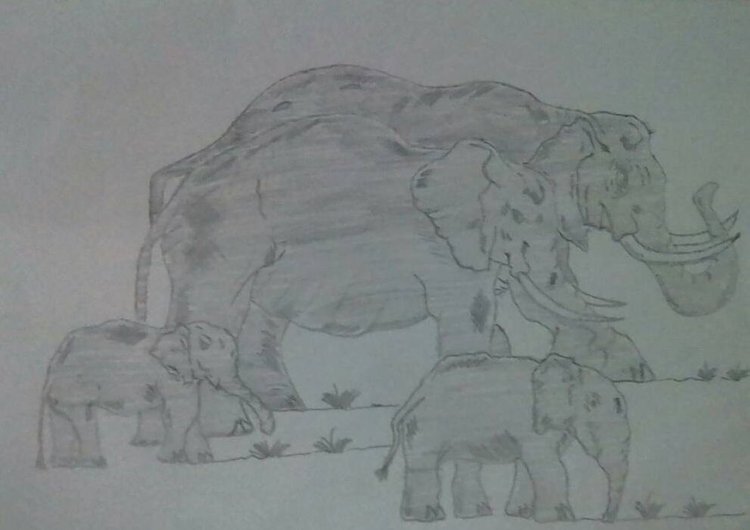 proceso ramon.jpg