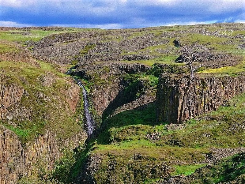 North Table Mountain Ecological Reserve Oroville Ca Dclick