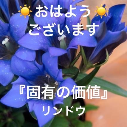 リンドウの花言葉 Dclick