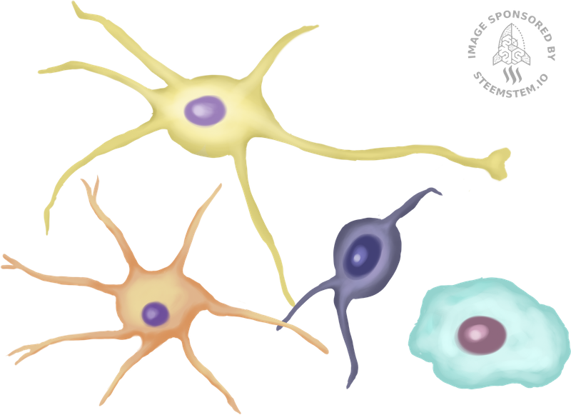 neurone_glial_cell.png