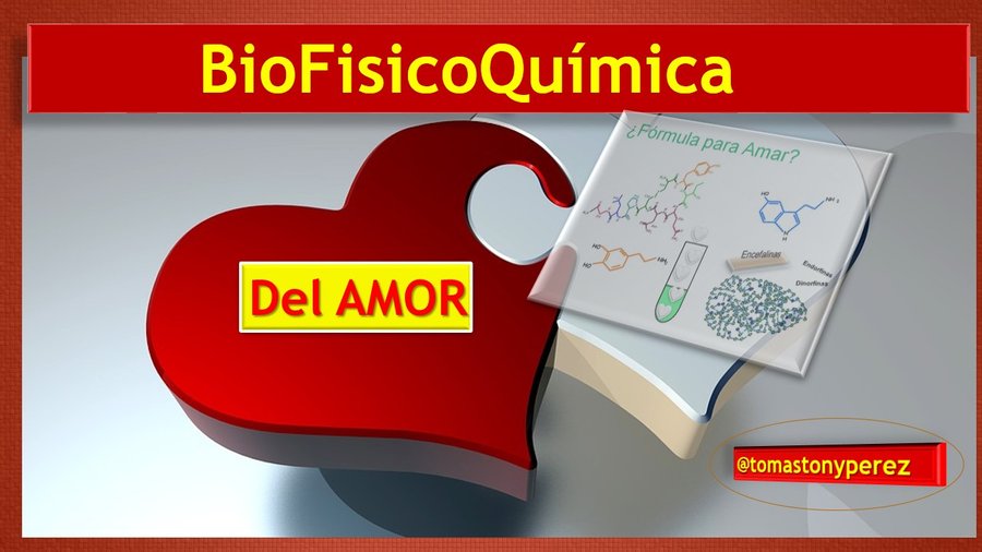 Biofísicoquímica Del Amor Con Analogías Imágenes Gifs Y - 