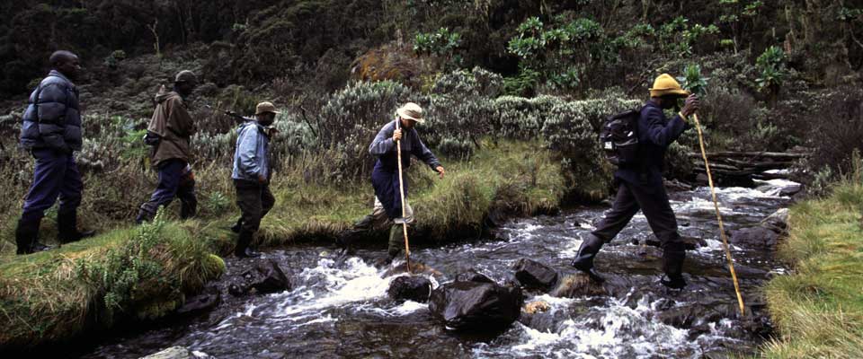 rwenzori-trek.jpg