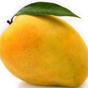 12_Mango.jpg