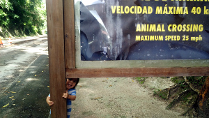 entrada_tikal.jpg