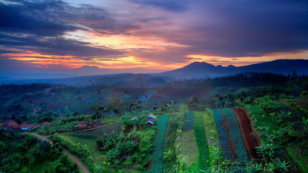 Bukit Moko.jpg