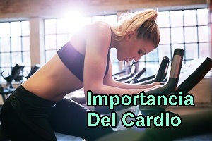 Indoor-and-Outdoor-Cardio-Exercise-Options2.jpg