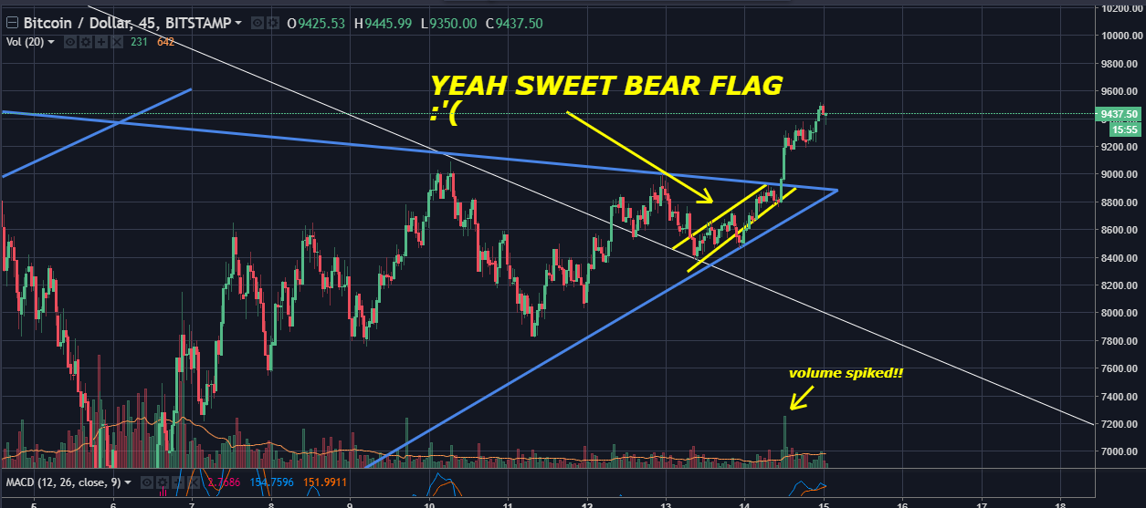 bear flag fail.png