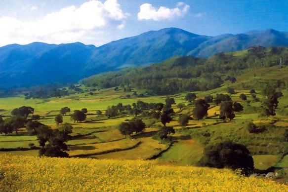 Araku_valley.jpg