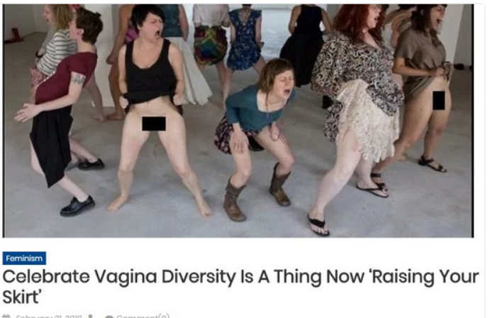 vagina diversity.png