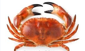 crabs.png