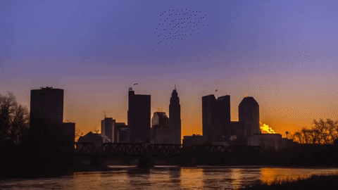 giphy (1).gif