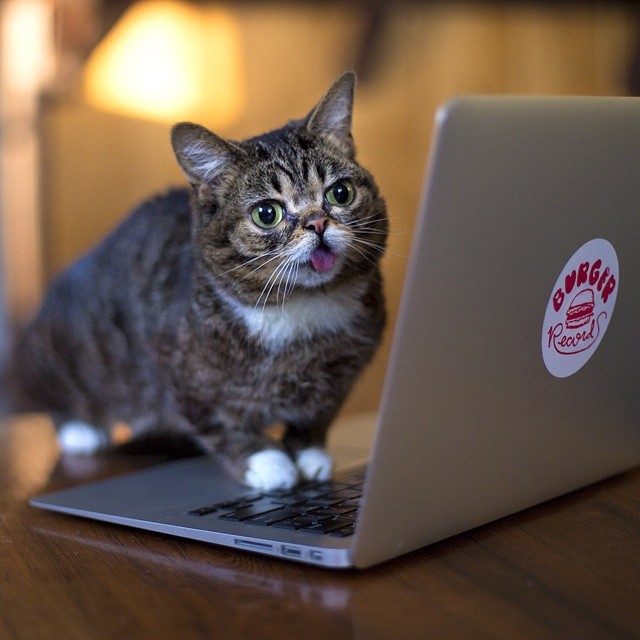 July_06__2014_at_0115AM_iamlilbub.jpg