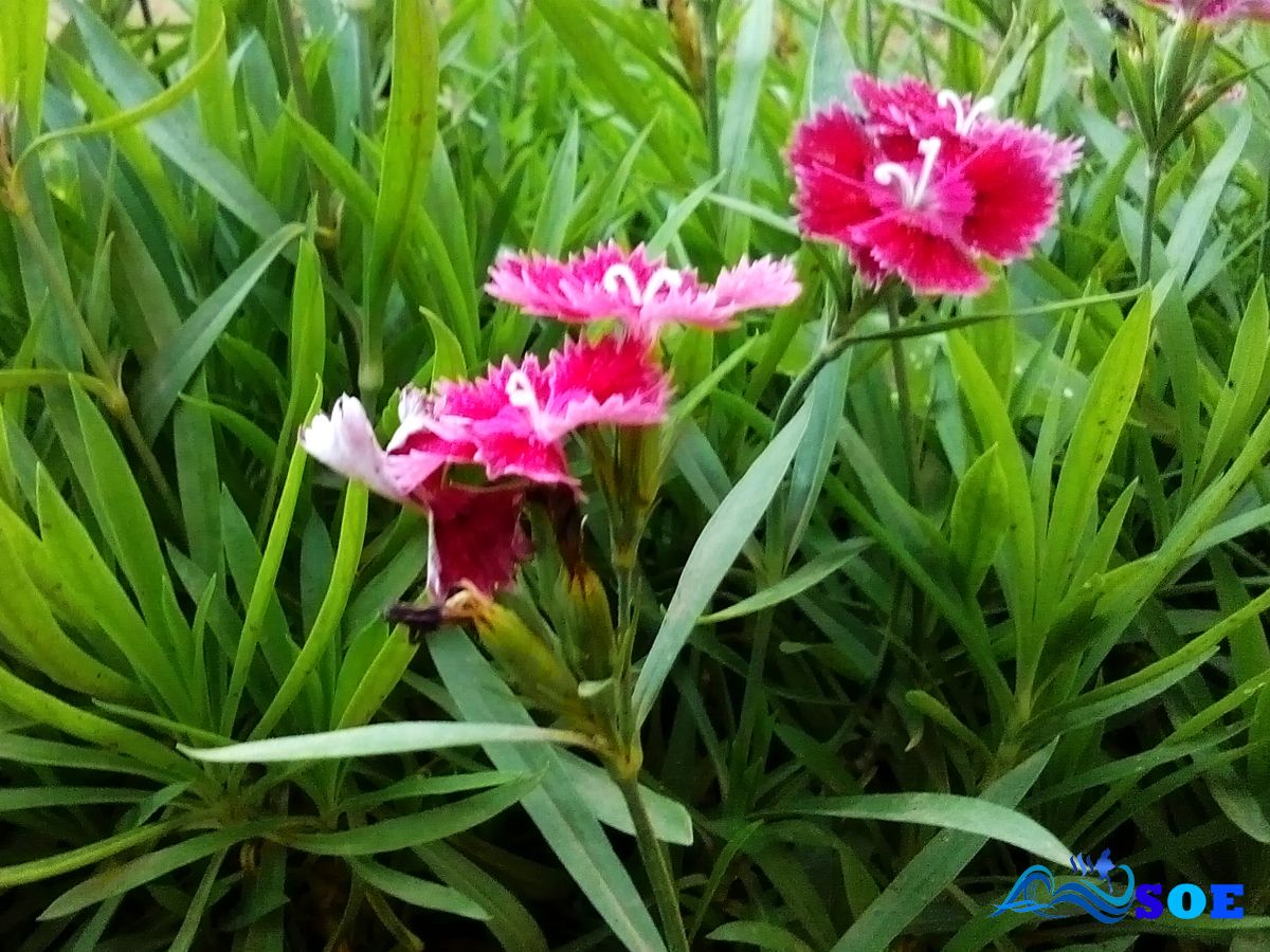 IMG_20150906_173057.jpg
