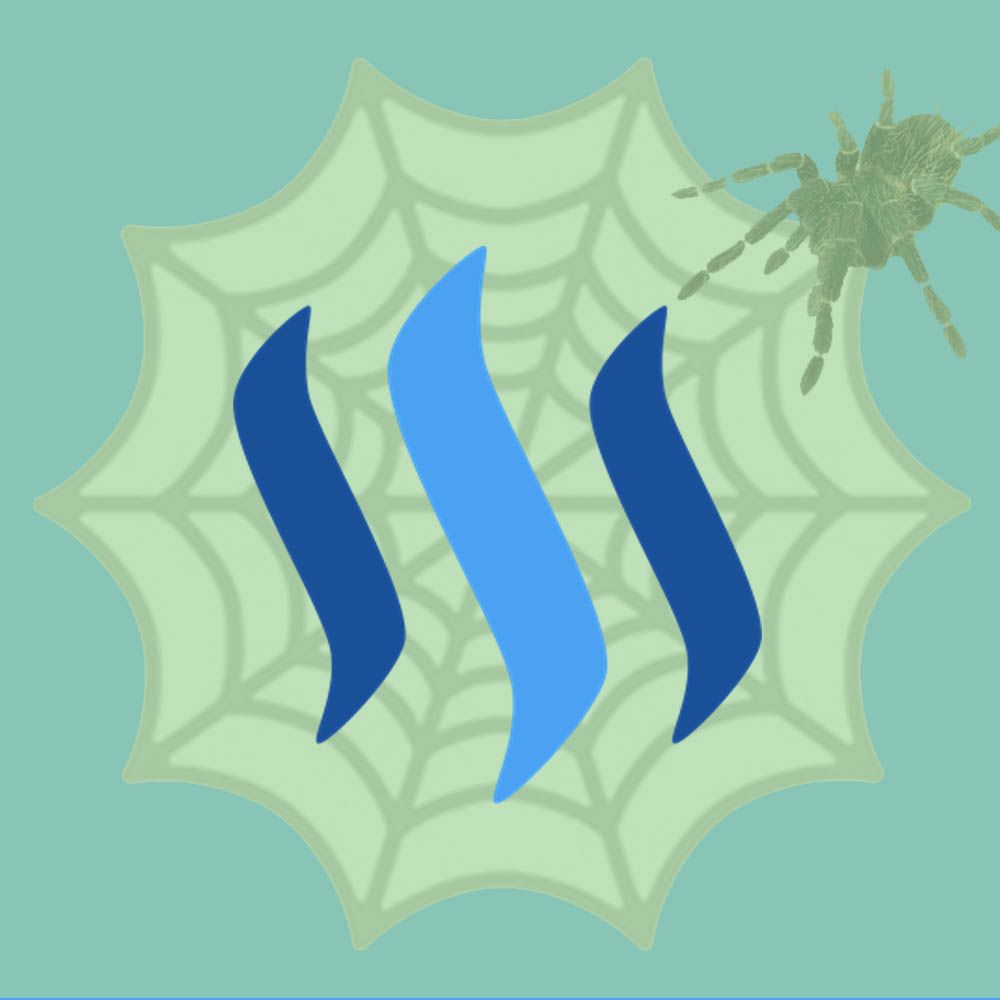 Steemit Spider.jpg