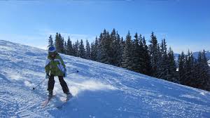 Downhill Skis.jpg