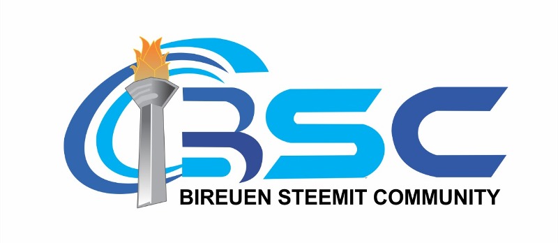 BSC-logo -pic v.jpg