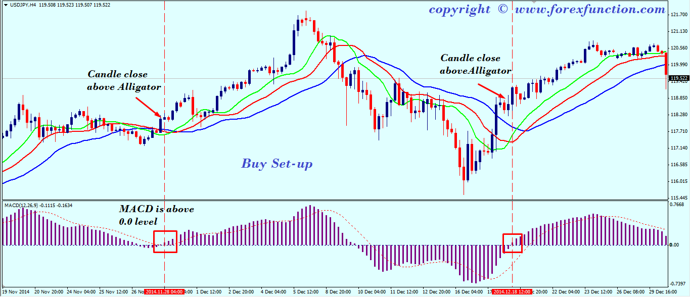 forex-trading-strategy-of-macd-and-alligator-buy-setup.png