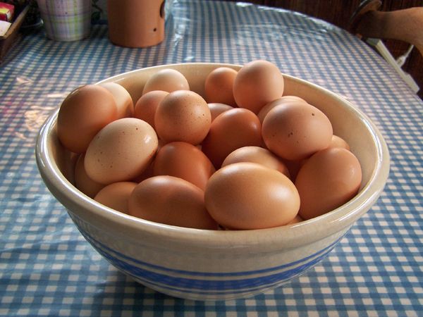 Bowl of eggs2 crop March 2018.jpg