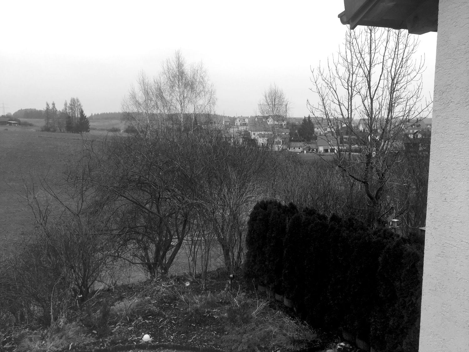 Black and White2.jpg
