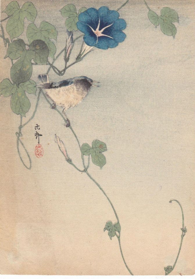 1ae1c8b879b6e36fb6a5c254a9a82f25--ohara-koson-morning-glories.jpg