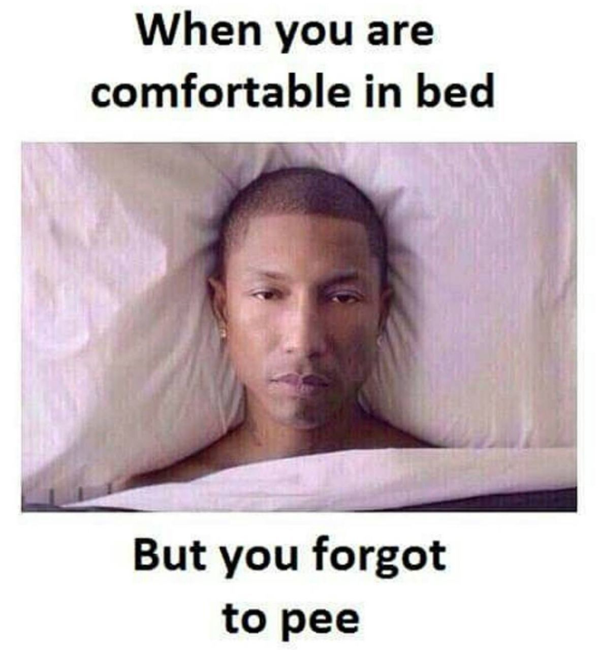434331031_232929.jpg