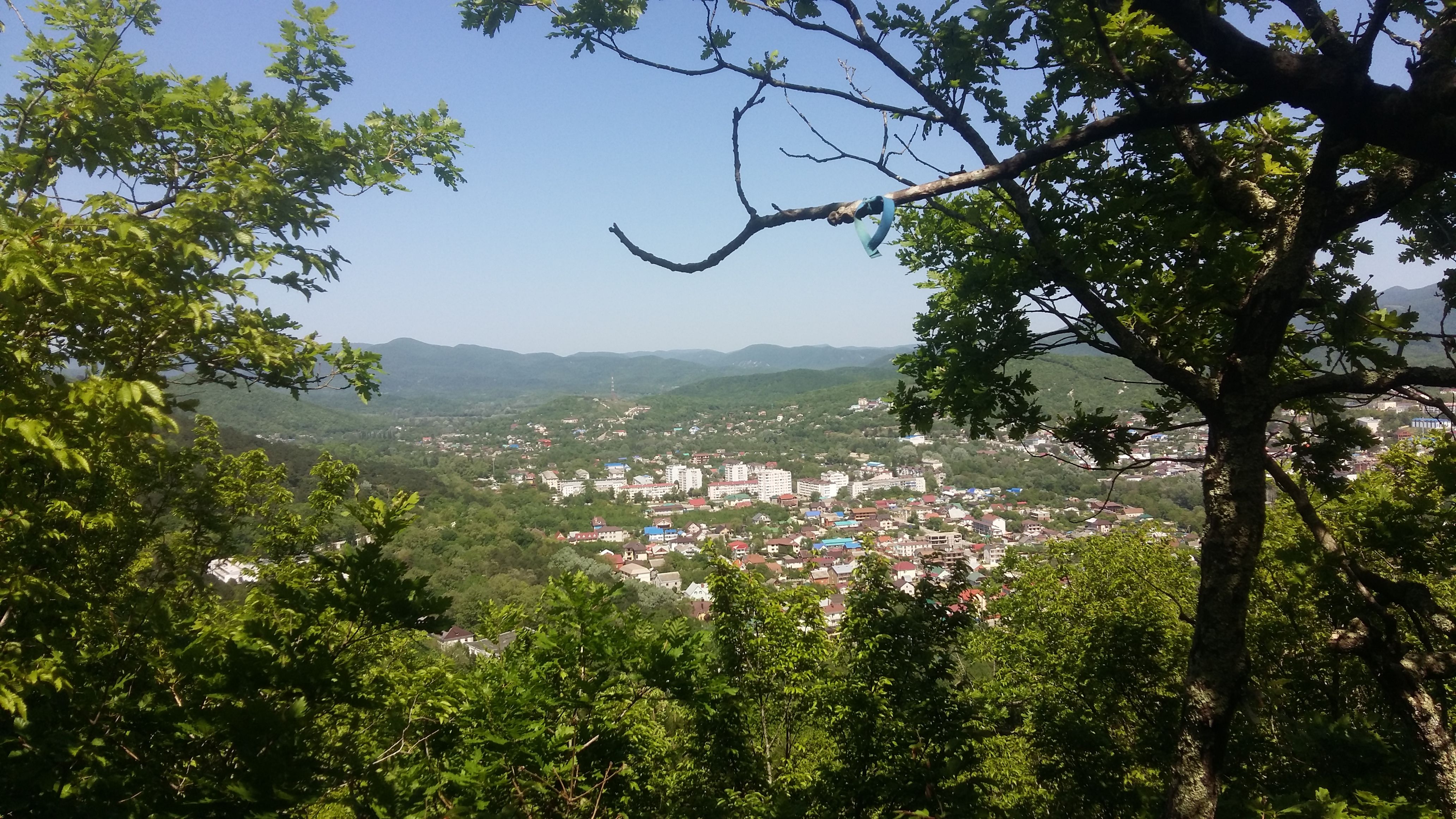 20180502_131924.jpg